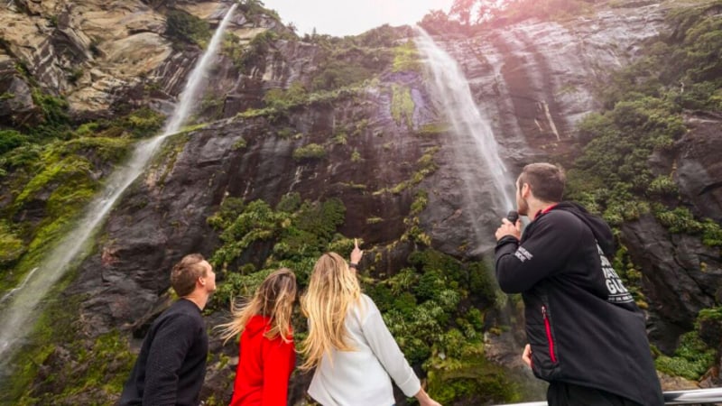 Encounter New Zealand wildlife in the breathtaking environment of Milford Sound from the comfort of Southern Discoveries modern catamaran.